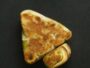 Vegetable Roti
