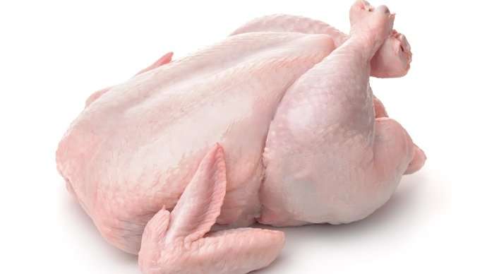 Chicken
