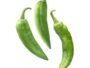 Curry Chilli 250g