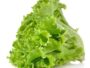 Lettuce 100g