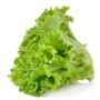 Lettuce 100g