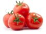 Tomato 500g
