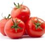 Tomato 500g